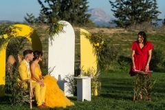 Yellow_Wedding-157