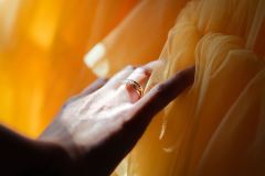 Yellow_Wedding-7